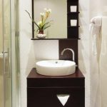 25 Small Bathroom Design and Remodeling Ideas Maximizing Small .