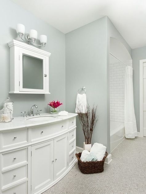 10 Best Paint Colors For Small Bathroom With No Windows in 2020 .