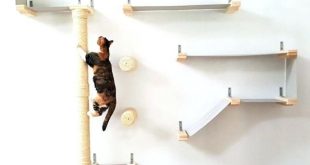 What is the purpose of decorative cat wall shelves and how to .