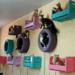 Cat Room Ideas Every "Crazy Cat Lady" Wants To Get Her Hands On .