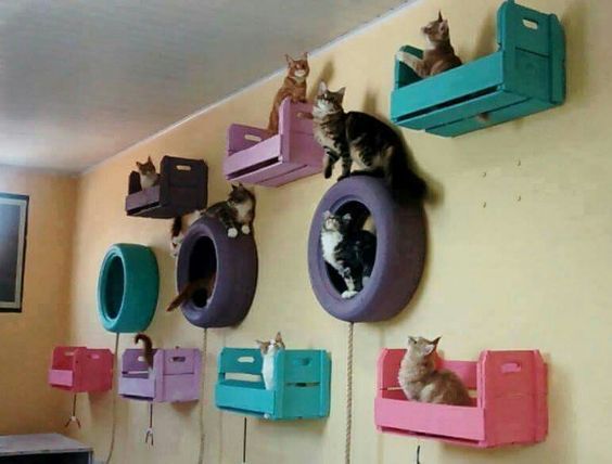 Cat Room Ideas Every "Crazy Cat Lady" Wants To Get Her Hands On .