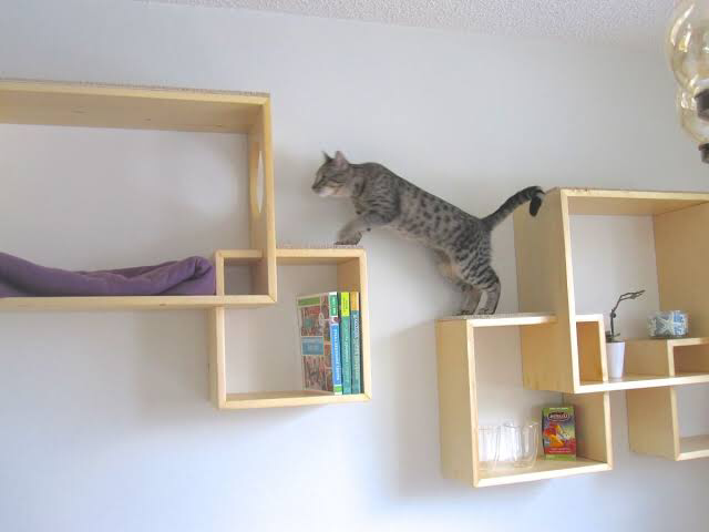 decorative cat shelves - Google Search | Cat wall shelves, Cat .