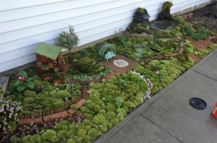 Pin by Laura Brookman Cook on Fairy Garden Ideas II | Fairy garden .