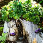 25 DIY Fairy Garden Ideas - How to Make a Miniature Fairy Gard