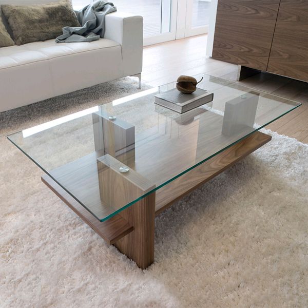 Modern Glass And Wood Coffee Table