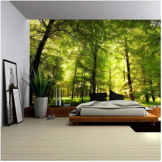 Transform Your Space with Removable Wall
Murals