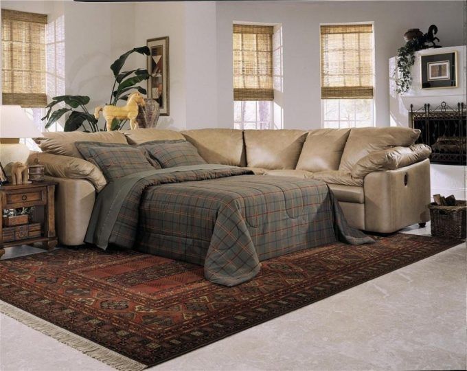 Sectional Sofa With Pull Out Bed And Recliner