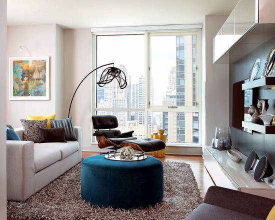 Shaggy Shaggy carpet -120 and stylish ideas for living room .