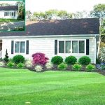 simple front yard landscaping full sun schrub - Google Search .