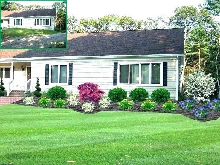 simple front yard landscaping full sun schrub - Google Search .