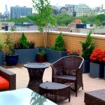 Guide to Rooftop Gardens | Garden Desi