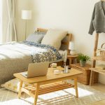 15 Best Studio Apartment Ideas - DIY Studio Apartment Decorating Ide