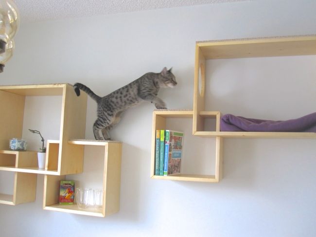 Enhance Your Home Decor with Stylish Cat Wall Shelves