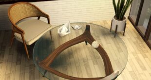 Modern Glass And Wood Coffee Table