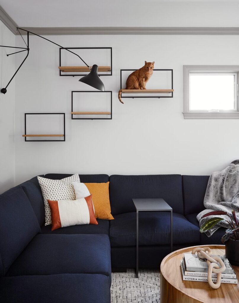 Decorative Cat Wall Shelves