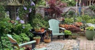 Backyard Garden Landscape Design