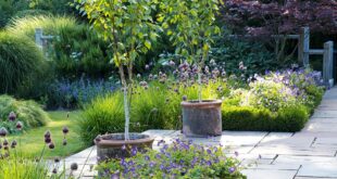 Small Garden Landscaping Ideas