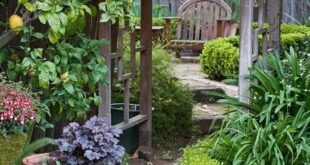 Garden Seat With Trellis