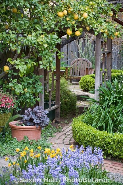 Garden Seat with Trellis: A Charming Addition to Your Outdoor Space