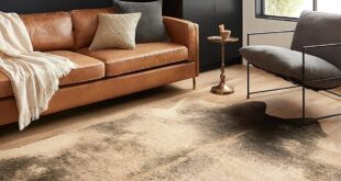 Contemporary Modern Area Rugs