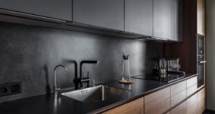 Contemporary Kitchen Cabinets