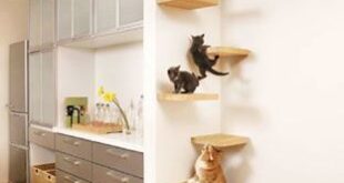 Decorative Cat Wall Shelves