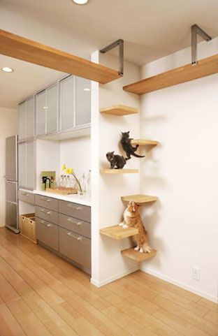Enhance Your Home Decor with Stylish Cat Wall Shelves