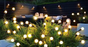 Outdoor Solar Garden Lights