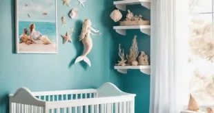 Baby Girl Nursery Themes Ideas