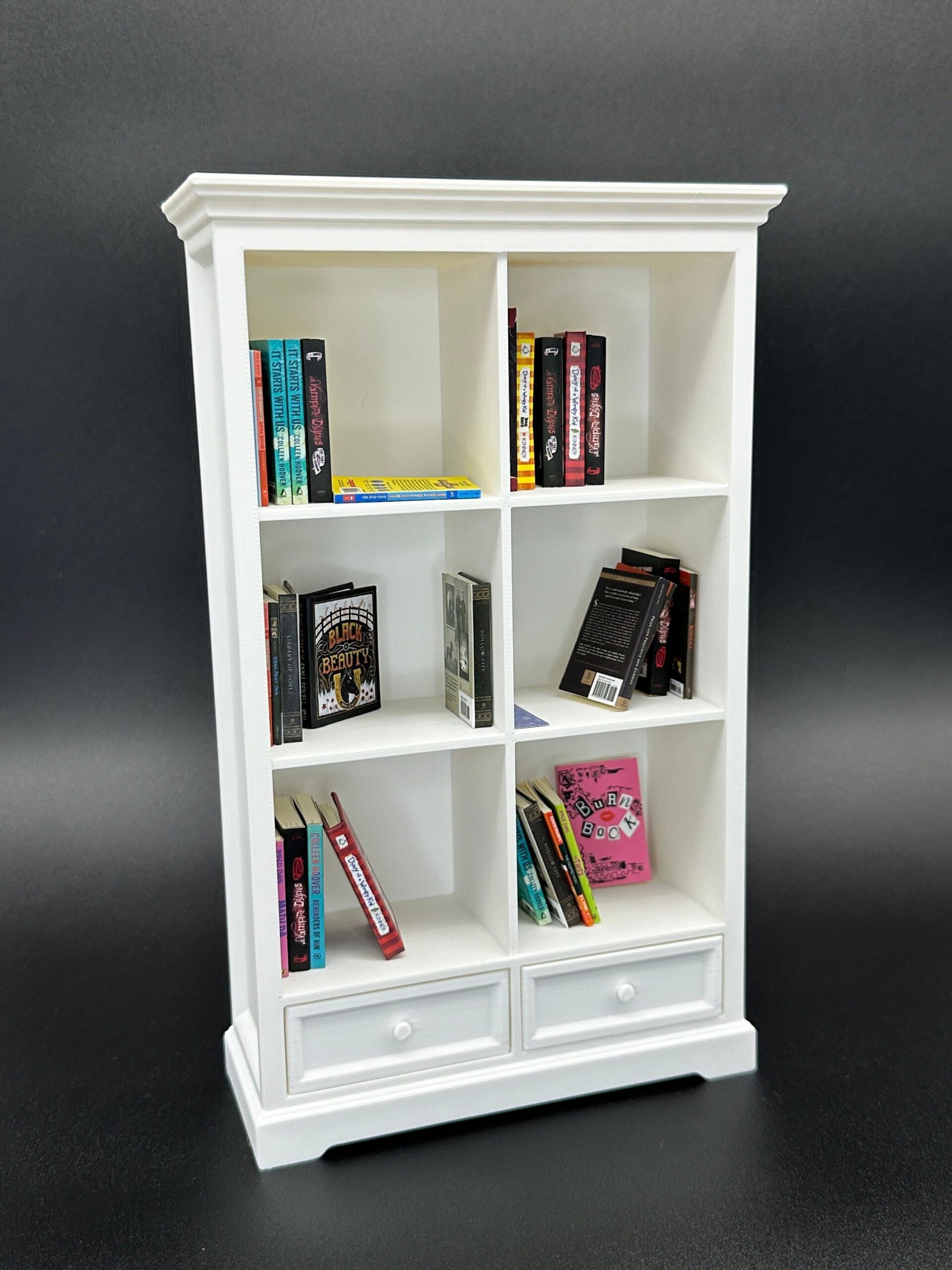 Compact Bookshelf with Storage Compartments