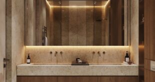 Modern Toilet And Bathroom Designs