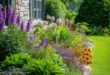 Backyard Garden Landscape Design