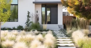 Modern Landscape Ideas For Front Of House