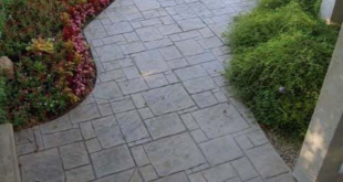 Backyard Stamped Concrete Patio Ideas