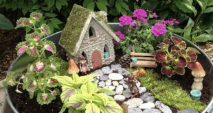 Fairy Garden Ideas Landscaping