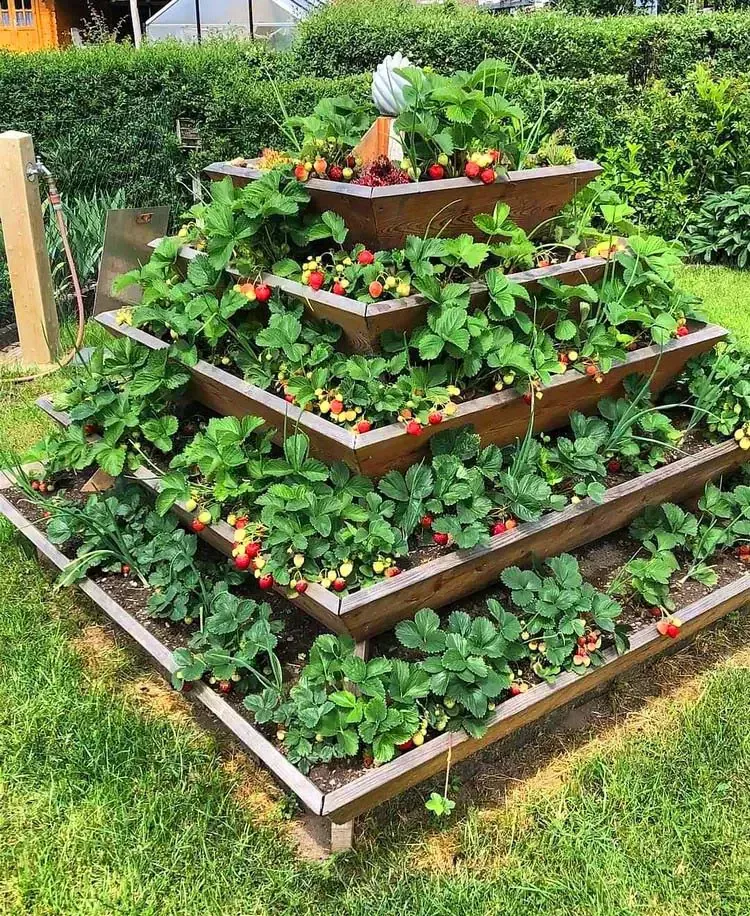 Creative Garden Design Ideas for Small Spaces