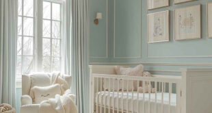 Baby Girl Nursery Themes Ideas