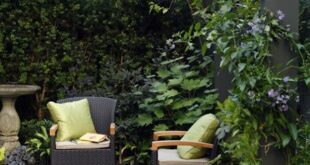 Small Roof Garden Design Ideas