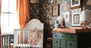 Baby Girl Nursery Themes Ideas