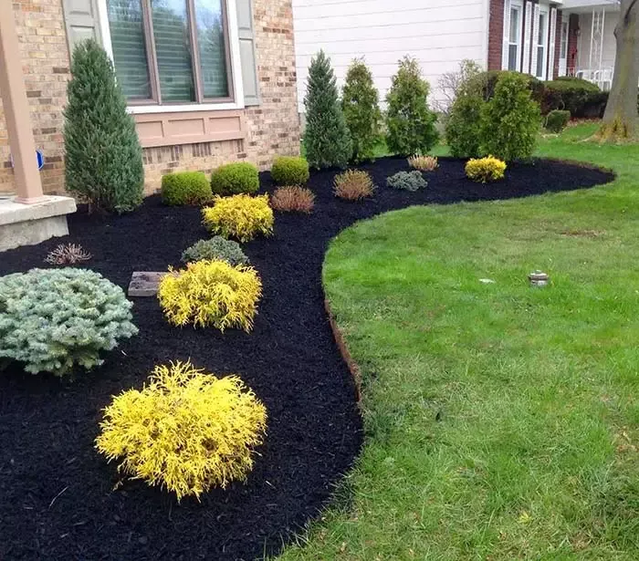 Easy Ways to Beautify Your Front Yard with Landscape Designs