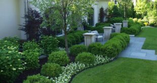 Simple Landscape Ideas For Front Of House