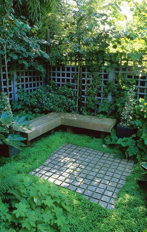 Enhance Your Garden with a Stylish Garden Seat and Trellis Combination