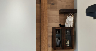 Decorative Cat Wall Shelves