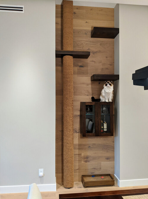 Enhance Your Home Decor with Stylish Cat Wall Shelves