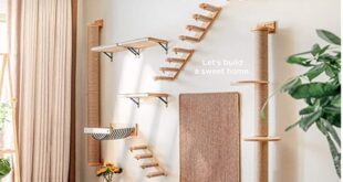 Decorative Cat Wall Shelves