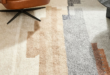 Contemporary Modern Area Rugs