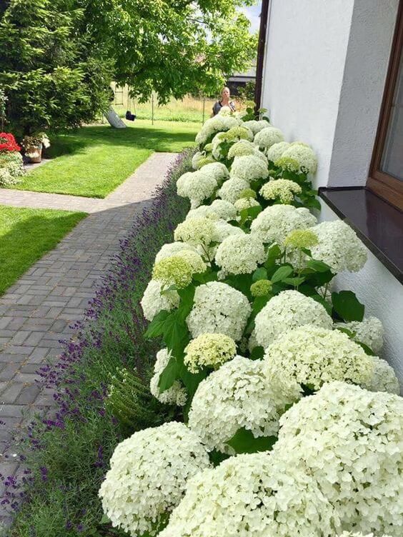 Ideas to Beautify Your Front Yard with Ease