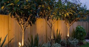 Decorative Garden Lighting