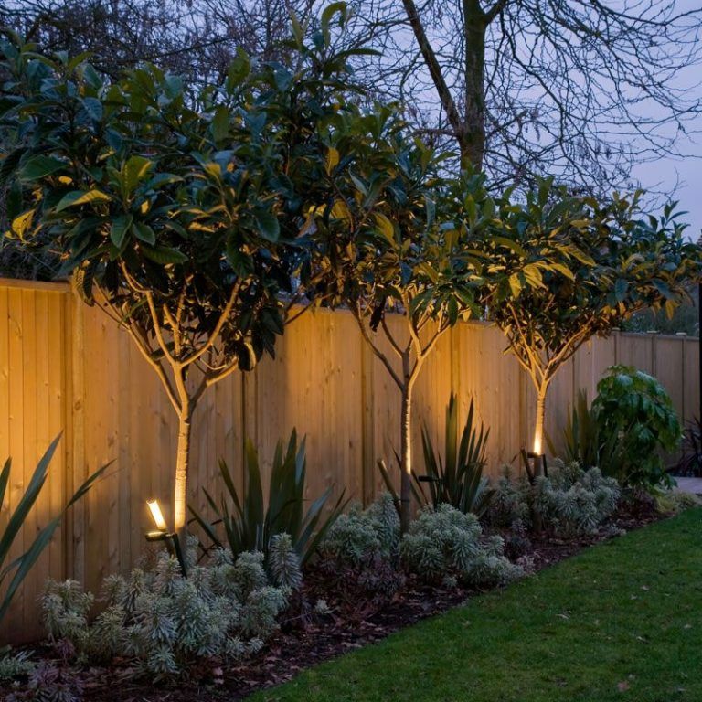 Illuminate Your Outdoor Spaces with Beautiful Garden Lighting