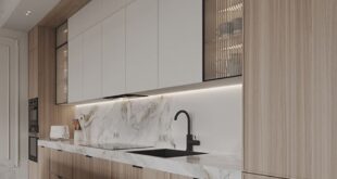 Contemporary Kitchen Cabinets